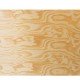 Anterior